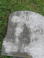 Ada Wilkins