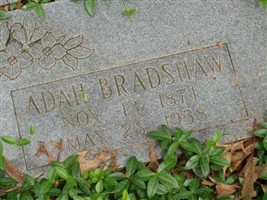 Adah Bradshaw Shell Adah Bradshaw Shell