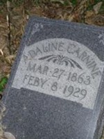 Adaline Carnine Adaline Carnine