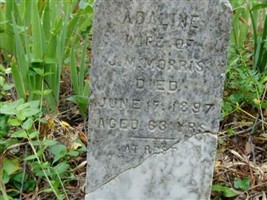 Adaline Morris