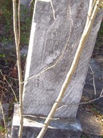 Adam A. Walker Adam A. Walker