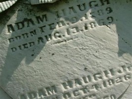 Adam Haugh