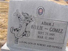 Adam J Gomez