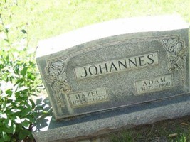 Adam Johannes Adam Johannes
