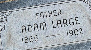 Adam Large (1866657.jpg)