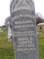 Adda M. Looker Adda M. Looker