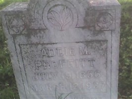 Addie M Proffitt
