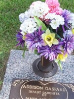 Addison Kathleen Marie Gaspard Addison Kathleen Marie Gaspard