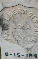 Adelbert Gibson Adelbert Gibson