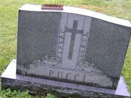 Adele Unknown Pucci