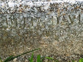 Adelia Davis Hilliker Adelia Davis Hilliker