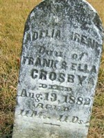 Adelia Irene Crosby