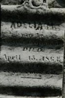 Adelia M Grummon