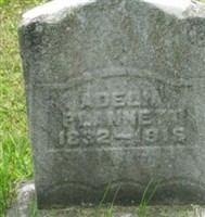 Adelia Naramore Plannett