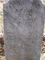Adeline F Younger Rice