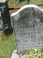Adeline P Gomes Adeline P Gomes