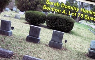 Sarah Adelle Jewett Dominy Hanley Wharton Sarah Adelle Jewett Dominy Hanley Wharton