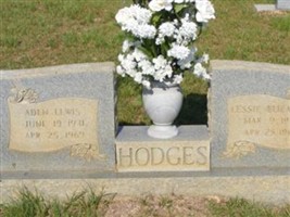 Aden Lewis Hodges