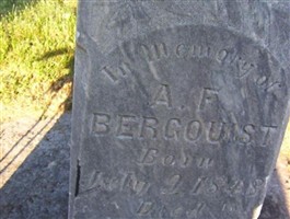 Adolf Fredrick Bergquist