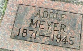 Adolf Meyer