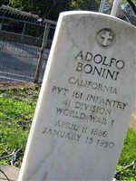Adolfo Bonini (2148093.jpg)