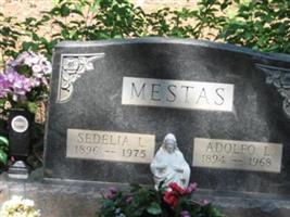 Adolfo L Mestas