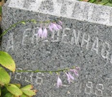 Adolph Fredenhagen