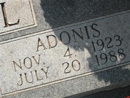 Adonis Kimmell