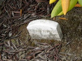 Adrain Rogers