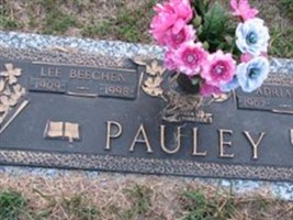 Adrian C Pauley