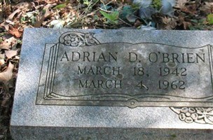 Adrian D O'Brien Adrian D O'Brien