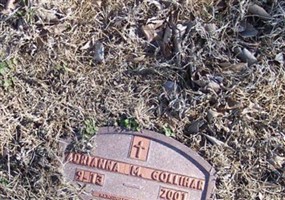 Adrianna M. Gollihar Adrianna M. Gollihar