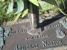 Adrienne Norton