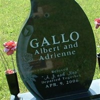 Adrienne Ott Gallo