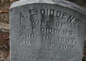 A E Giddens