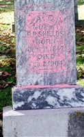 A. E. Martin Shields