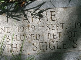 Affie Seigle Affie Seigle
