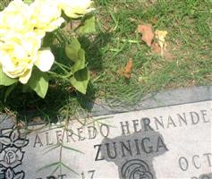 Afredo Hernandez Zuniga Afredo Hernandez Zuniga