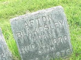 Afton Blakesley
