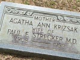 Agatha Ann Krizsak Strecker