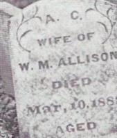 Agatha Caroline Adams Allison