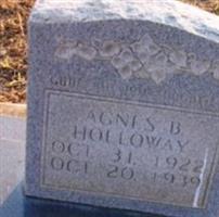 Agnes B Holloway