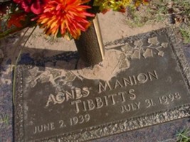 Agnes Catherine Manion Tibbitts