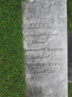 Agnes Chapin Agnes Chapin