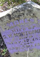 Agnes Clevenger Montgomery