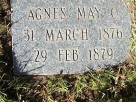 Agnes Cushing