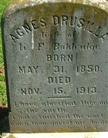 Agnes Drusilla Boldridge Agnes Drusilla Boldridge