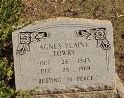 Agnes Elaine Towry
