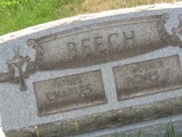 Agnes F Beech