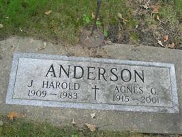 Agnes G. Anderson
